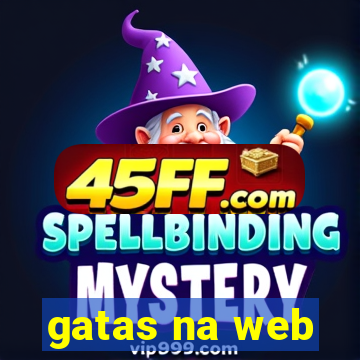 gatas na web